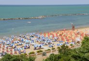 Cattolica