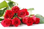 Rose rosse a domicilio