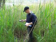 Test di campo