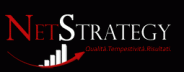 agenzia seo netstrategy