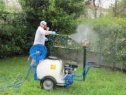  Disinfestazione mosche