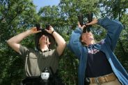 Birdwatching Delta del Po